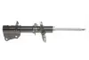 Амортизатор (передній) Renault Kangoo 08- R15/16 (maxi baza) (цапфа 36mm) (d22mm D51mm) (Газ) SOLGY Solgy 211045 (фото 1)
