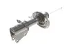 Амортизатор (передній) Renault Kangoo 08- R15/16 (maxi baza) (цапфа 36mm) (d22mm D51mm) (Газ) SOLGY Solgy 211045 (фото 9)