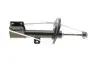 Амортизатор (передній) Citroen C4 II 09- (L) SOLGY Solgy 211180 (фото 10)
