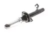Амортизатор (передній) Ford Fiesta 01-08 (R) SOLGY Solgy 211211 (фото 6)