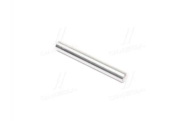 Штифт напрямної ланцюга SsangYong SSANG YONG/ KGM 000007008106 (фото 1)
