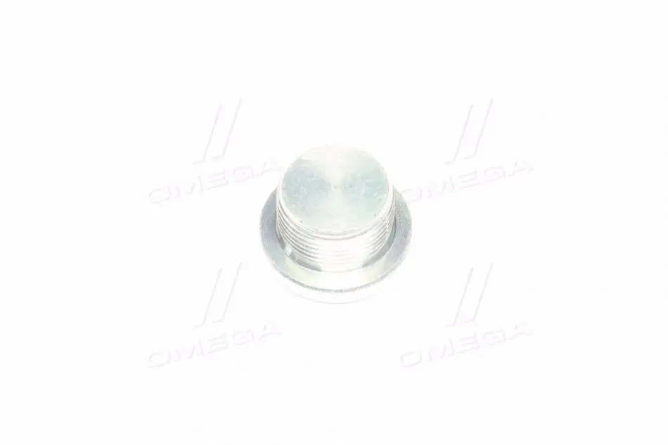 Пробка кпп (олійна) (вир-во SsangYong) SSANG YONG/ KGM 3111308001 (фото 1)