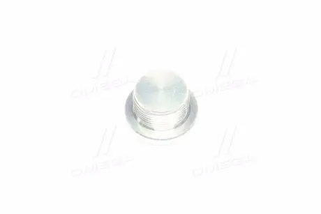 Пробка кпп (олійна) (вир-во SsangYong) SSANG YONG/ KGM 3111308001