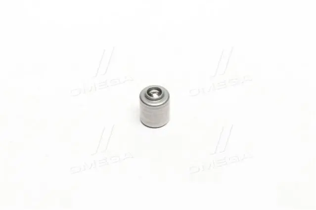 Клапан контролю олії (вир-во SsangYong) SSANG YONG/ KGM 6651800132 (фото 1)