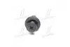 Пістон (вир-во SsangYong) SSANG YONG/ KGM 7887205000 (фото 2)