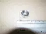 Гайка розвального болта korando (вир-во SsangYong) SSANG YONG/ KGM 9900612001 (фото 1)