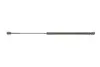 Амортизатор кришки багажника Mazda 3 03-09 STABILUS 016990 (фото 6)