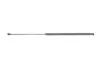 Амортизатор кришки багажника Honda Civic 05- STABILUS 018471 (фото 6)