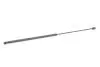 Пружина газова AUDI A4 10/00-06/08 STABILUS 024208 (фото 8)