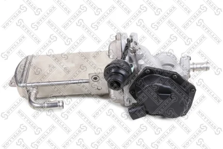 Клапан EGR (рециркуляції відпрацьованих газів) STELLOX 0125229SX