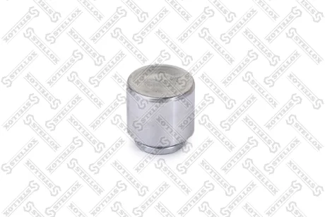Поршень гальмівного супорта переднього 43mm STELLOX 0498307SX