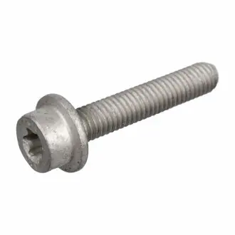 Болт з головкою системи TORX (Swag) SWAG 10946395