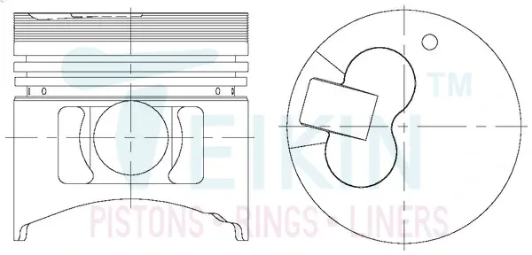 Поршни ремонт +0.25mm(к-кт на мотор) Mitsubishi 4D56-II TEIKIN 43285025 (фото 1)