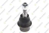TEKNOROT DODGE Кульова опора нижн. передн. RAM 1500  06- DO365