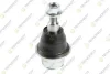 FORD Шаровая опора F-150 15- TEKNOROT FO1134 (фото 1)