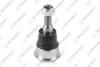 TEKNOROT FORD Опора шарова Maverick FO1145