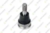 Шаровая опора FORD RANGER 2012-2019 TEKNOROT FO1254
