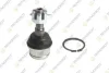 FORD Кульова опора передн F-150, F-100 TEKNOROT FO1284 (фото 1)