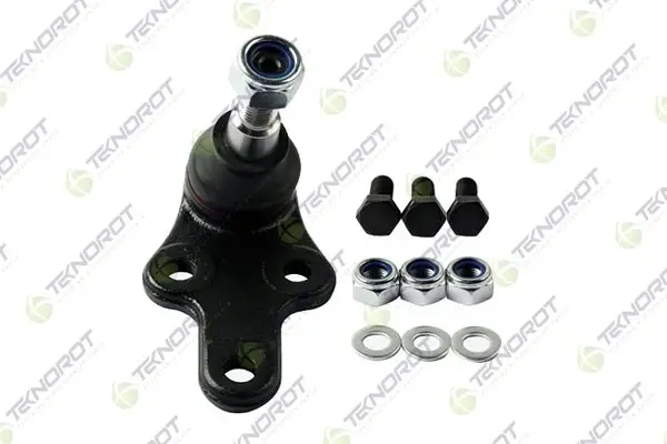 Шаровая опора нижняя (пр+лев) Ford Focus 03-,C-Max d=21mm TEKNOROT FO464K (фото 1)