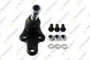 Шаровая опора нижняя (пр+лев) Ford Focus 03-,C-Max d=21mm TEKNOROT FO464K (фото 1)