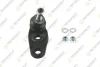 BMW кульова опора (к-кт) прав.Mini 06- TEKNOROT MN134K (фото 1)