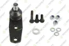 RENAULT Шаровая опора (к-кт) R11/19/21,Clio,Kangoo,Megane,Rapid TEKNOROT R203K (фото 1)