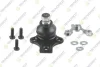 VW кульова опора (з пластиною!) 17mm Golf,Jetta,Polo,SEAT -07/87 TEKNOROT V403KF (фото 1)