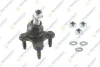 VW кульова опора (к-кт) права Golf,Passat,Skoda Octavia,Seat 05- TEKNOROT V584K (фото 1)