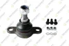 TEKNOROT VW кульова опора (к-кт) нижнього важеля лів./прав.T4 96- V725K