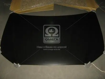 Капот MIT ASX 10- Дрібні потертості та подряпини без заглиблення в матеріал - не є браком, КРІМ ДЕТАЛЕЙ НЕ ПІД фарбування. TEMPEST 036 4569 280