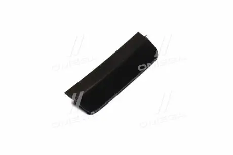 Заглушка гака букс. бамп. пер. пра. TOY RAV4 19- TEMPEST 049 5290 922