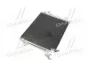Конденсатор кондиционера VW TIGUAN (5N) 07- TEMPEST TP.15940138 (фото 2)