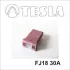 Запобіжник TESLA BLATNA CZ FJ18 30A (фото 1)