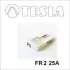Запобіжник TESLA BLATNA CZ FR2 25A.10 (фото 1)