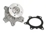 Насос охолоджуючої рідини THERMOTEC D12093TT (фото 1)
