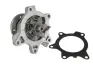 Насос охолоджуючої рідини THERMOTEC D12093TT (фото 2)