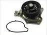 Насос охолоджуючої рідини, з ущільненням MAZDA 2, 3 1.3-1.6 10.03-05.19 THERMOTEC D13041TT (фото 2)