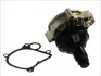 Насос охолоджуючої рідини, з ущільненням BMW 3 (E46) 2.0D 02.98-09.01 THERMOTEC D1B032TT (фото 1)