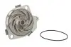 Насос охолоджуючої рідини, з ущільненням MERCEDES SPRINTER 3,5-T (B906) ALFA ROMEO 145, 146, 147, 156, 159, 166, GIULIETTA, GIULIETTA/HATCHBACK FIAT BRAVA, BRAVO I, BRAVO II 1.8-2.4D 08.94- THERMOTEC D1F035TT (фото 1)