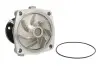 Насос охолоджуючої рідини, з ущільненням ALFA ROMEO 155, 164, 33 CHRYSLER GRAND VOYAGER III, VOYAGER II, VOYAGER III, VOYAGER IV FORD SCORPIO II JEEP CHEROKEE 1.8D-3.1D 01.90-02.08 THERMOTEC D1G042TT (фото 1)