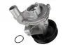 Насос охолоджуючої рідини, з ущільненням FORD TRANSIT LAND ROVER DEFENDER 2.4D 01.00-02.16 THERMOTEC D1G056TT (фото 1)
