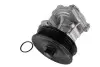 Насос охолоджуючої рідини, з ущільненням FORD TRANSIT LAND ROVER DEFENDER 2.4D 01.00-02.16 THERMOTEC D1G056TT (фото 2)