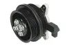 Насос охолоджуючої рідини AUDI A1 SEAT ALHAMBRA, IBIZA IV, IBIZA IV SC, IBIZA IV ST SKODA FABIA II VW BEETLE, CC B7, EOS, GOLF PLUS V, GOLF V, GOLF VI, JETTA III 1.4/1.4CNG 11.05-07.18 THERMOTEC D1W064TT (фото 1)