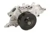 Насос охолоджуючої рідини JEEP GRAND CHEROKEE II 2.7D 10.01-09.05 THERMOTEC D1Y078TT (фото 2)