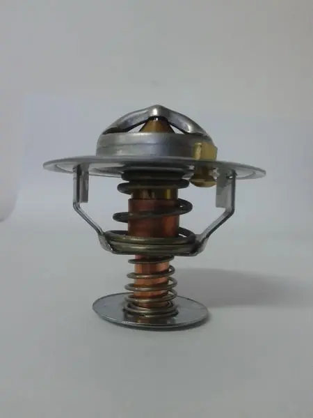 Термостат системи охолодження THERMOTEC D2CA002TT (фото 1)