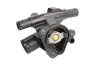 Термостат системи охолодження THERMOTEC D2R017TT (фото 3)
