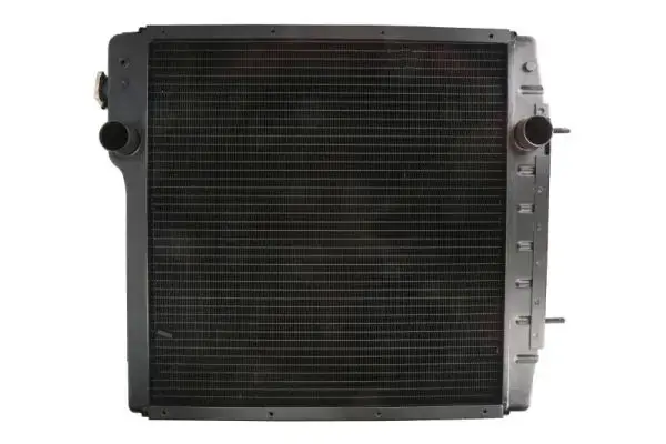 Радіатор двигуна THERMOTEC D7AG010TT (фото 1)