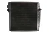 Радіатор двигуна THERMOTEC D7AG010TT (фото 1)