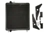 Радіатор двигуна THERMOTEC D7AG453TT (фото 1)