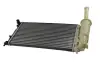 Радіатор двигуна THERMOTEC D7F012TT (фото 1)